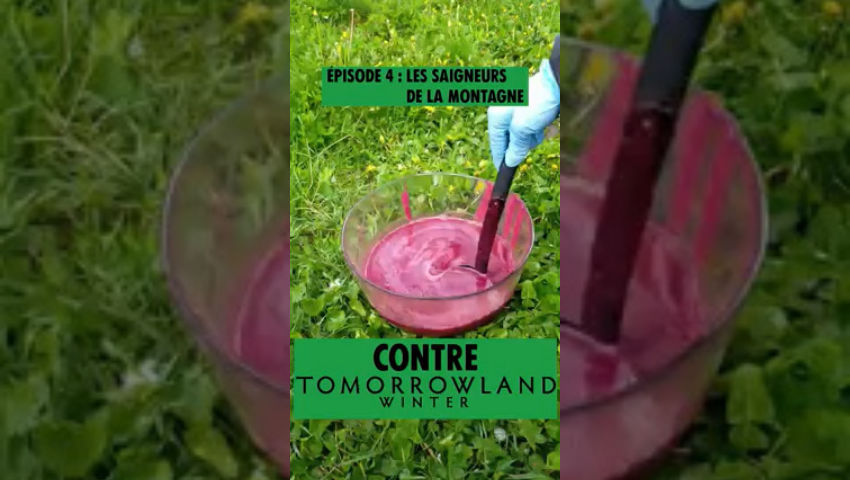Episode 4 : les saigneurs de la montagne - Stop Tomorrowland Winter